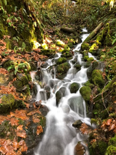 Gurgling Falls