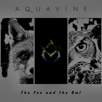 The Fox and the Owl