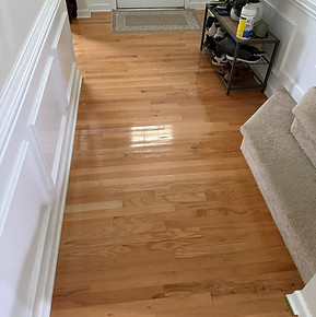 Lion Flooring Care