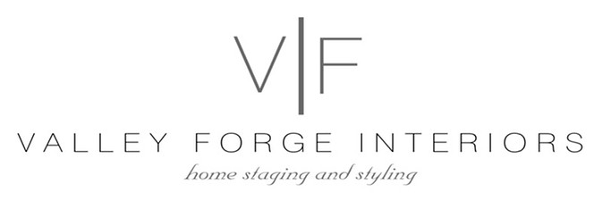 VFI logo JPEG.jpg