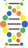 Molecular Diagnostics | PCR | DK-German Medical Center Kabul | DK-GMC