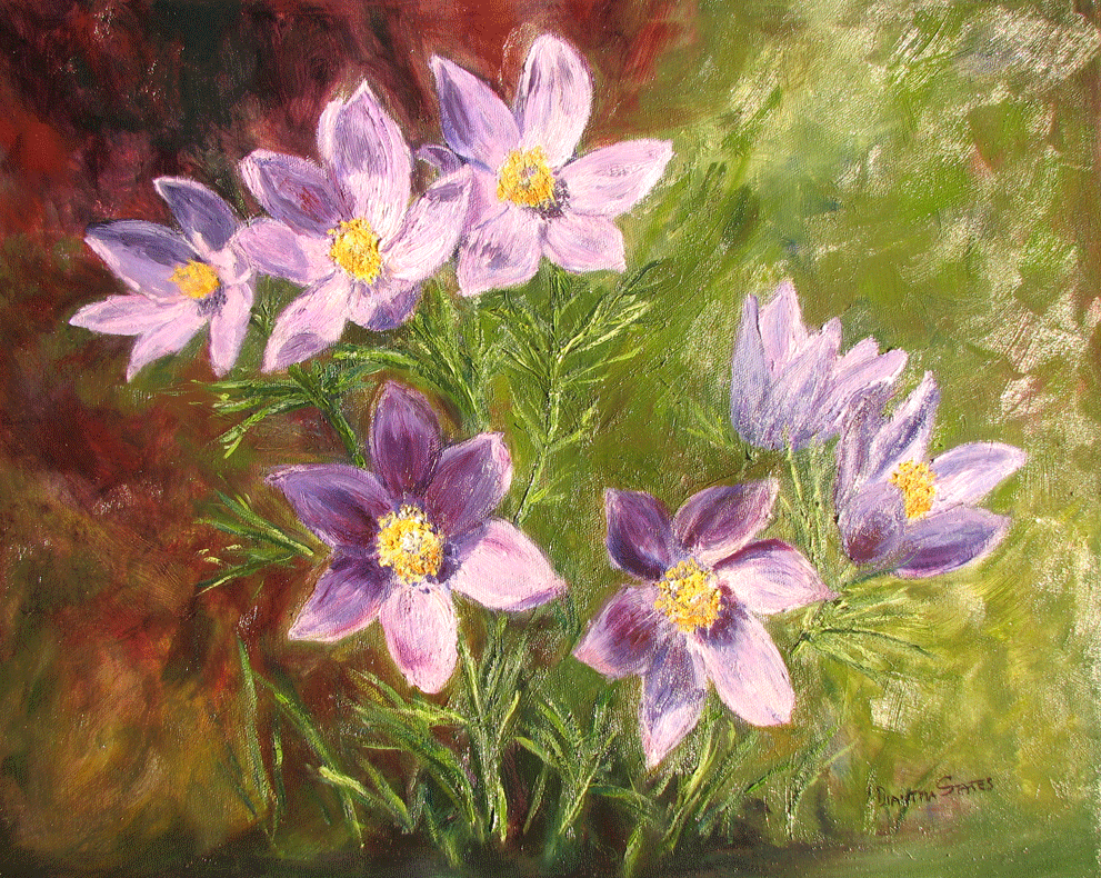 Pasqueflower