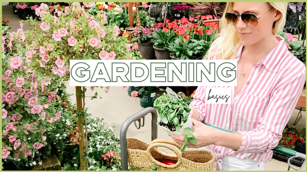 Beauty and Wellness: Tips For Starting A Vegetable Garden