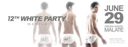 WP Facebook Page Cover