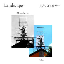 メキシコ / メキシコシティ