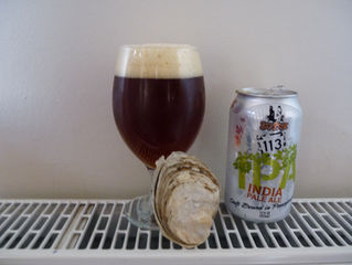 Oysters and IPA