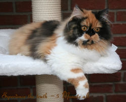 fussel_5_monate_alt1