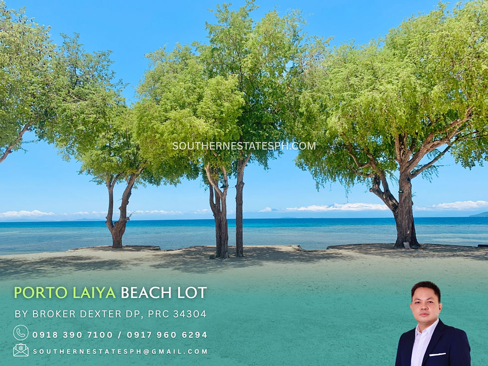For Sale - Commercial Beach Fronting lot in Porto Laiya San Juan Batangas
