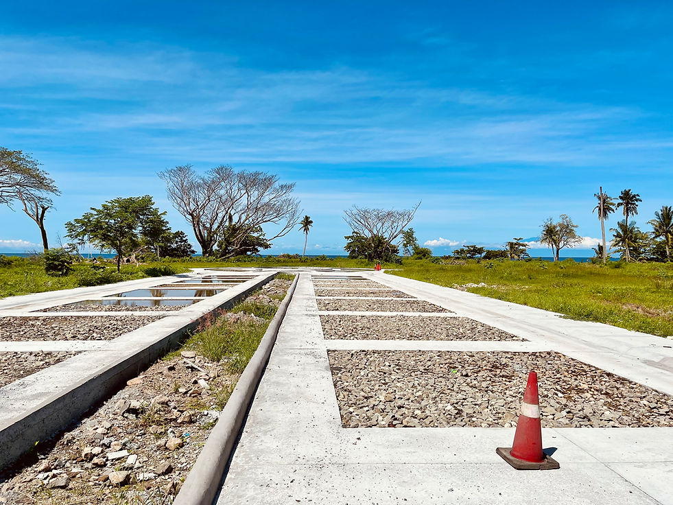 Porto Laiya Beach Front Lot.JPG