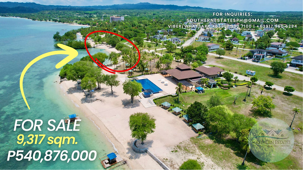 For Sale - Commercial Beach Fronting lot in Porto Laiya San Juan Batangas
