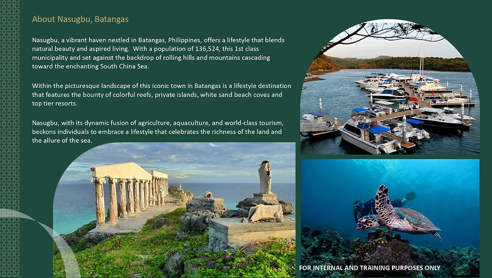 The Residences Beach Condo at Terrazas de Punta Fuego.jpg