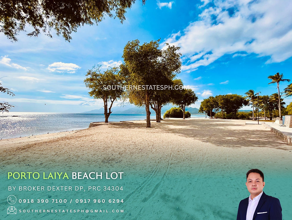 For Sale - Commercial Beach Fronting lot in Porto Laiya San Juan Batangas
