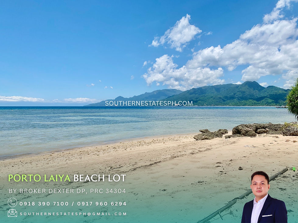 For Sale - Commercial Beach Fronting lot in Porto Laiya San Juan Batangas