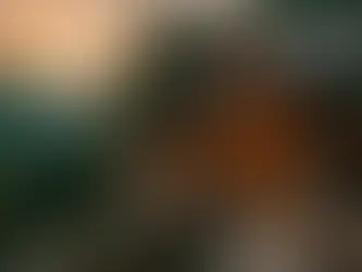 12 Blue Ridge Mountain Cabin Rentals in Georgia You Need to Book