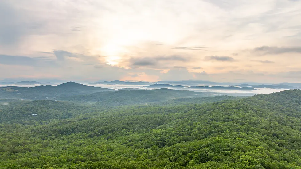 Blue Ridge Mountain Rentals: Your Seasonal Planning Guide for 2026