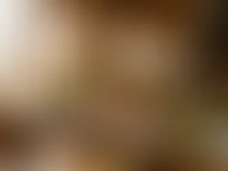 Worth the Drive: 15 Morganton Restaurants That Beat Blue Ridge Tourist Traps