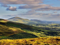 Save Mount Leinster!