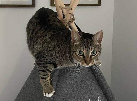 esther.jpg