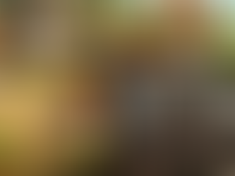 The Great Educational Heist: How Britain Borrowed a System and Then Buried Its Source