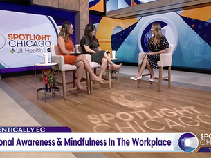 2024 Erin Coupe WGN 9 Chicago Spotlight: Emotional Awareness and Mindfulness in the Workplace