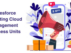 Business Units In SFMC(Engagement)
