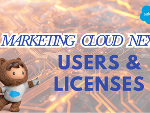 Marketing Cloud Next: Understanding Users and Licenses