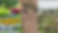Hero Gallery.png