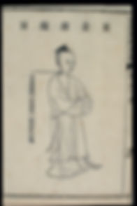 chinese medicine - scophola.jpg
