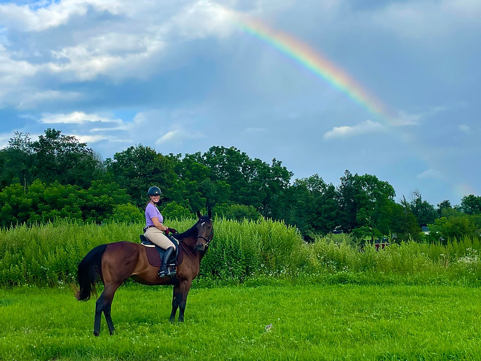 horse show online