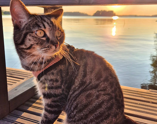 CLASS 6: SUNRISE OR SUNSETS