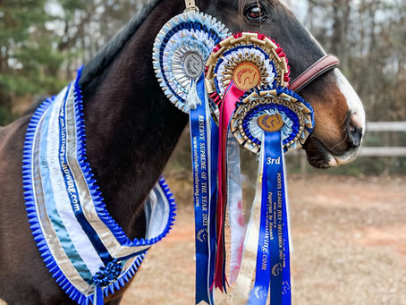 How to Enter Online Horse Shows