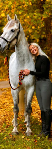online horse showing