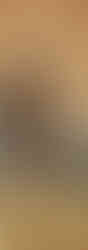 online pet showing