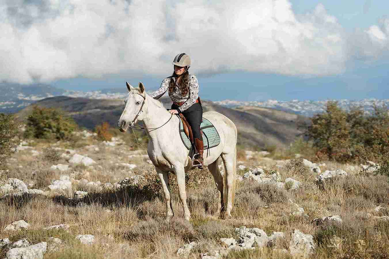 online horse show winner