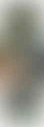 online horse showing