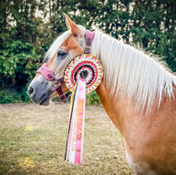 a horse wearing and online horse show rosette