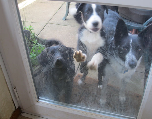 CLASS 5: WINDOW WATCHERS