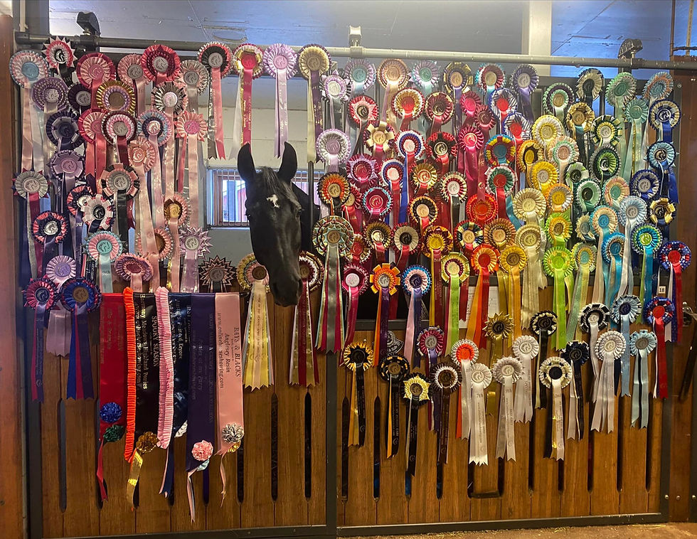 Online Horse Showing Rules