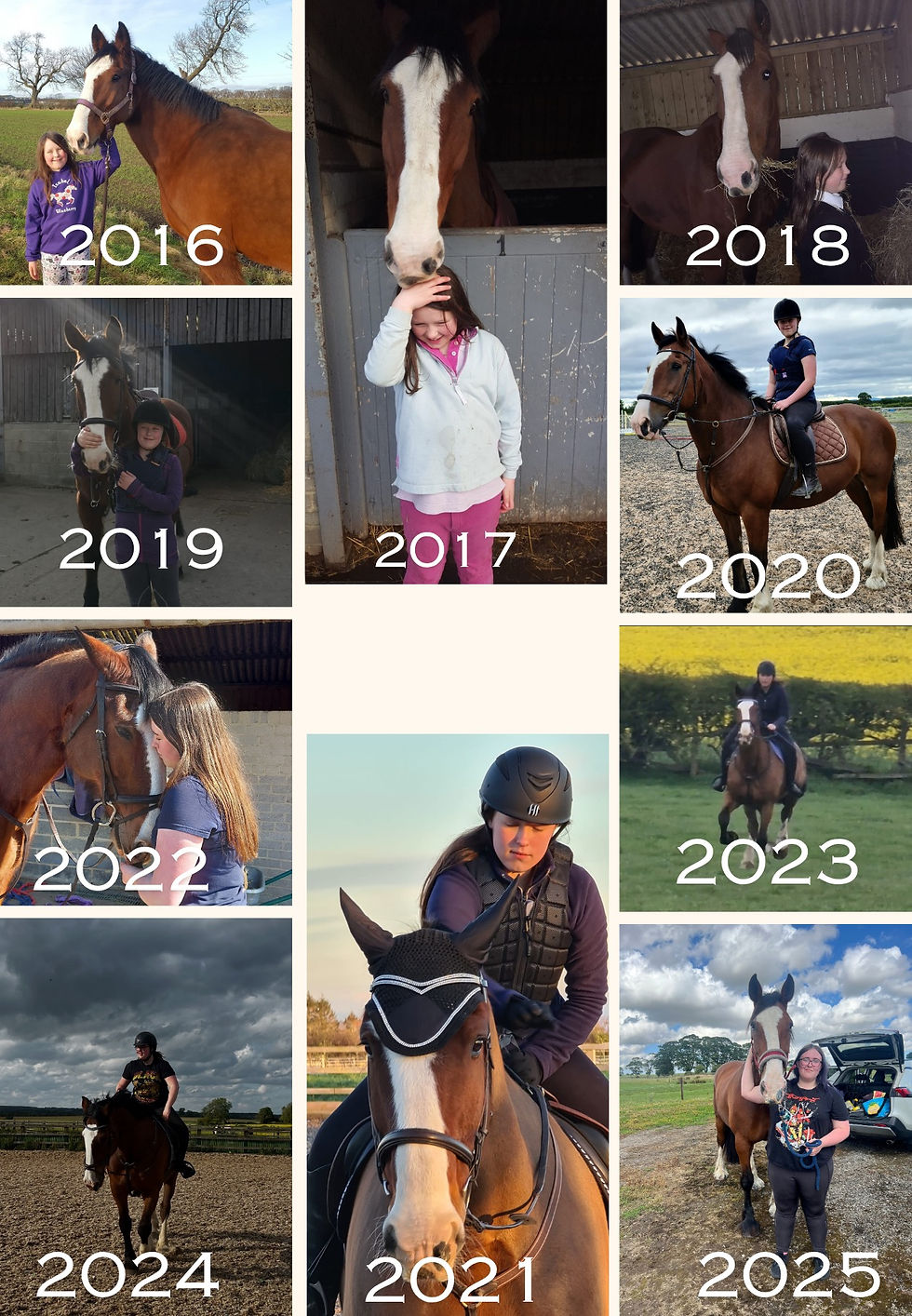 horse show online
