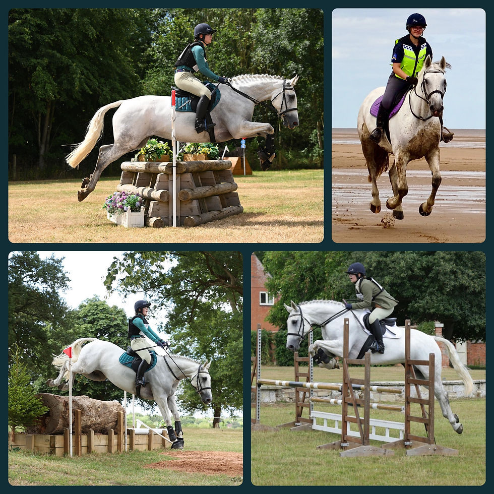 horse show online