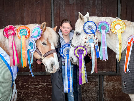 March 2025 Results | Online Horse Showing