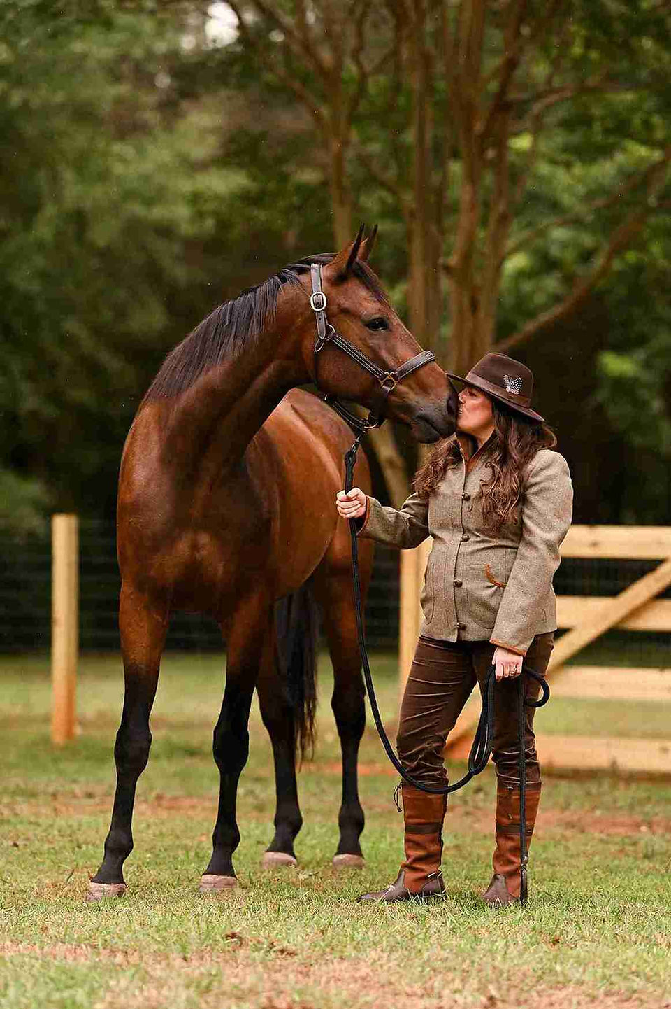 online horse show winner