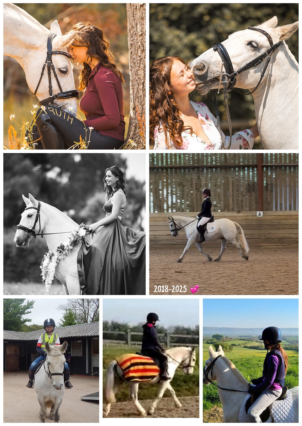horse show online