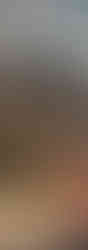 online pet showing