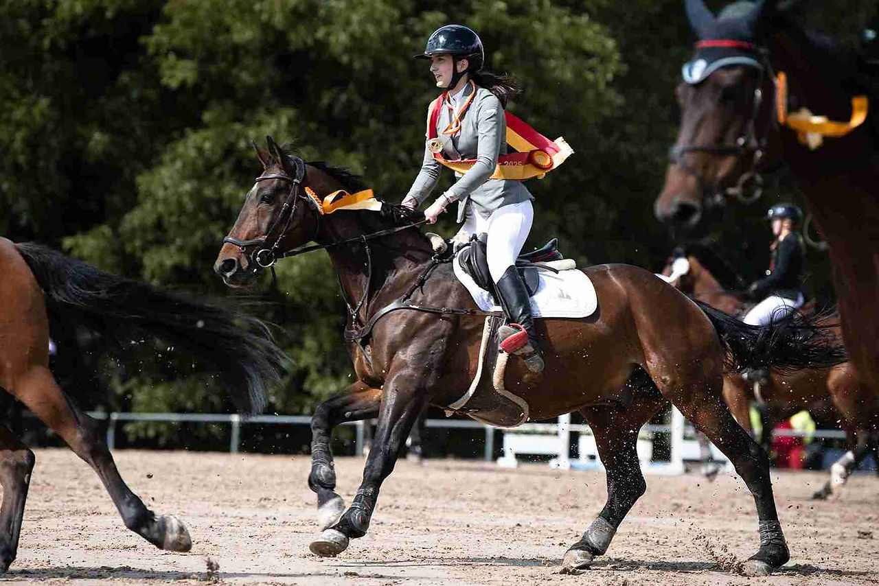 online horse show winner