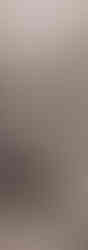 online horse showing