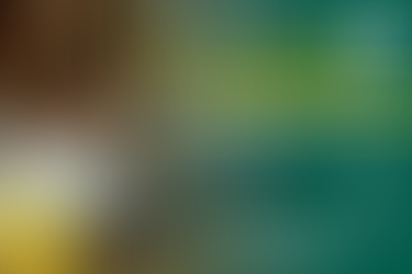 7 Ways to be a Star Employee