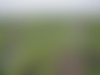 Baumkronenpfad im Nationalpark Hainich