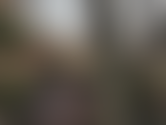 Drachenschlucht bei Eisenach