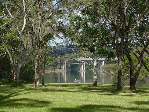davidson-park-garigal-national-park-forestville21.jpeg